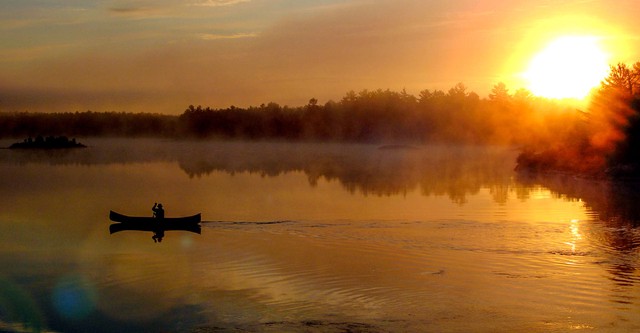 Ray Mears' Northern Wilderness