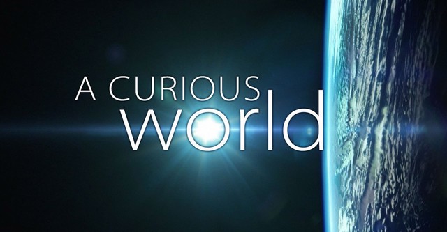 A Curious World