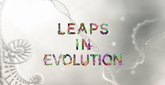 Leaps In Evolution