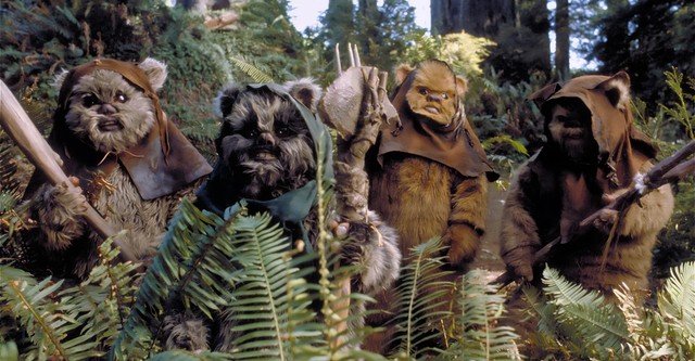 matt roloff ewok