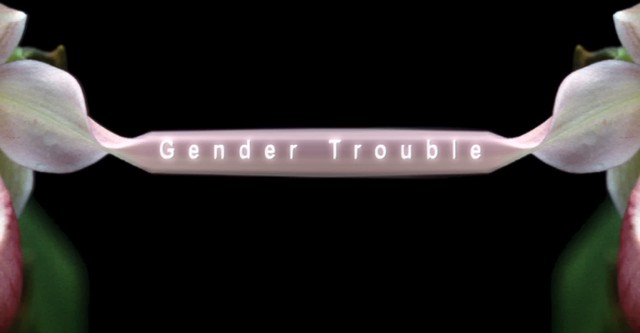 Gender Trouble