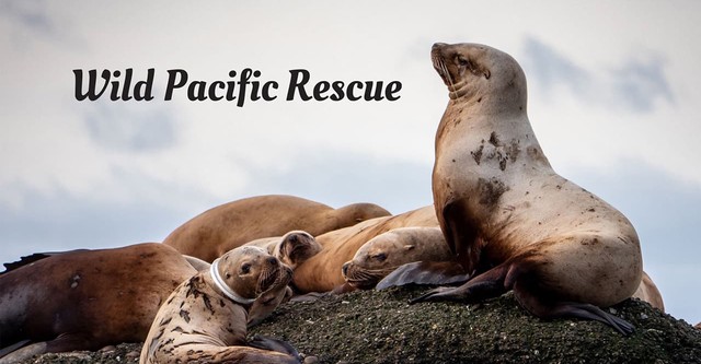 Wild Pacific Rescue