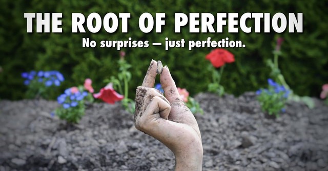 The Root of Perfection