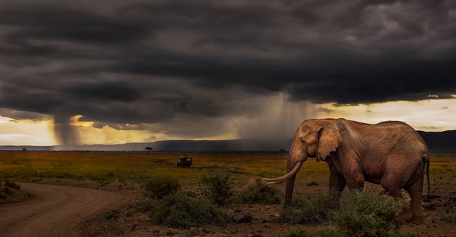 Chasing the Rains