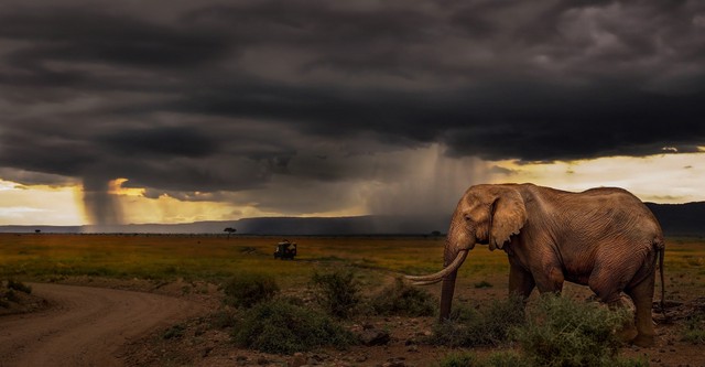 Kenia - Dem Regen hinterher