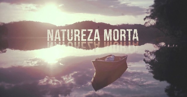 Natureza Morta