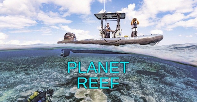 Planet Reef