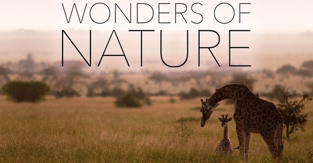 Wonders of Nature