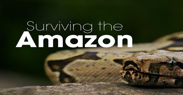 Überleben am Amazonas