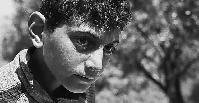 Vous êtes tous des capitaines