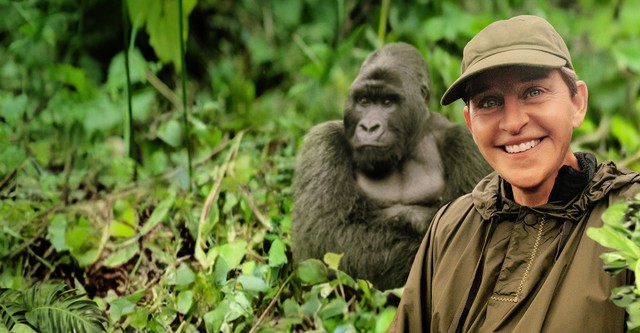 Saving the Gorillas: Ellen's Next Adventure