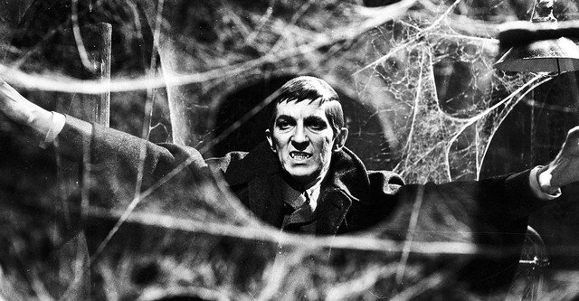 Dark Shadows