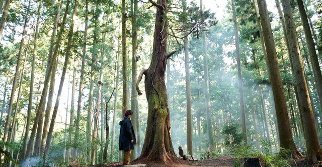 Viaje a Nara