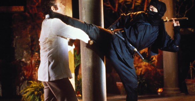 La justicia del ninja película Ver online en español