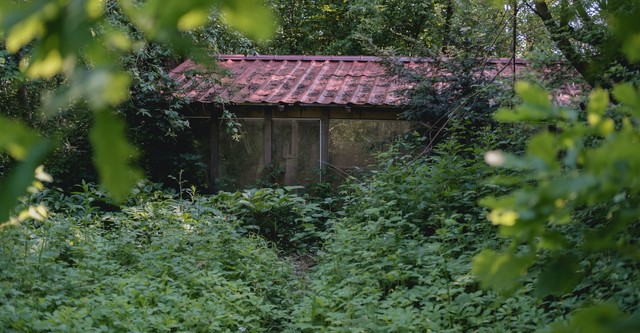 Behind The Garden Gate