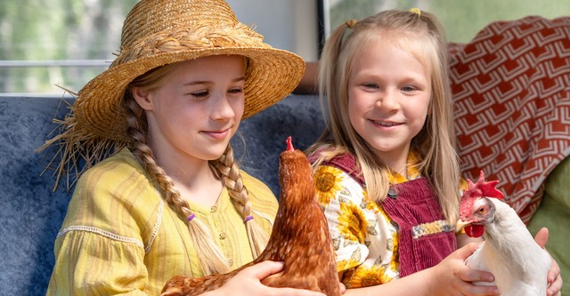 Hayflower, Quiltshoe and the Chicken