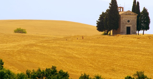 Mare di grano