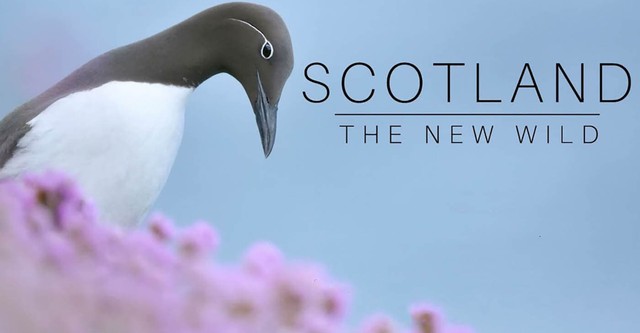 Scotland: The New Wild