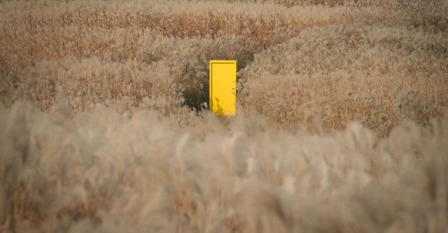 Yellow Door : Laboratoire underground du cinéma coréen