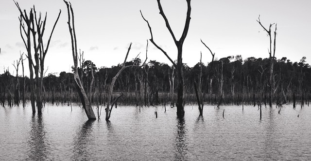 O Reflexo do Lago