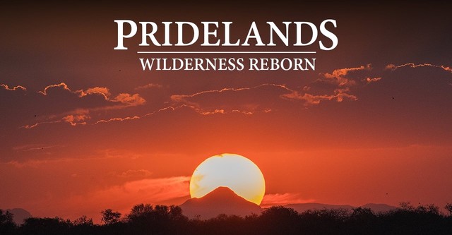 Pridelands: Wilderness Reborn