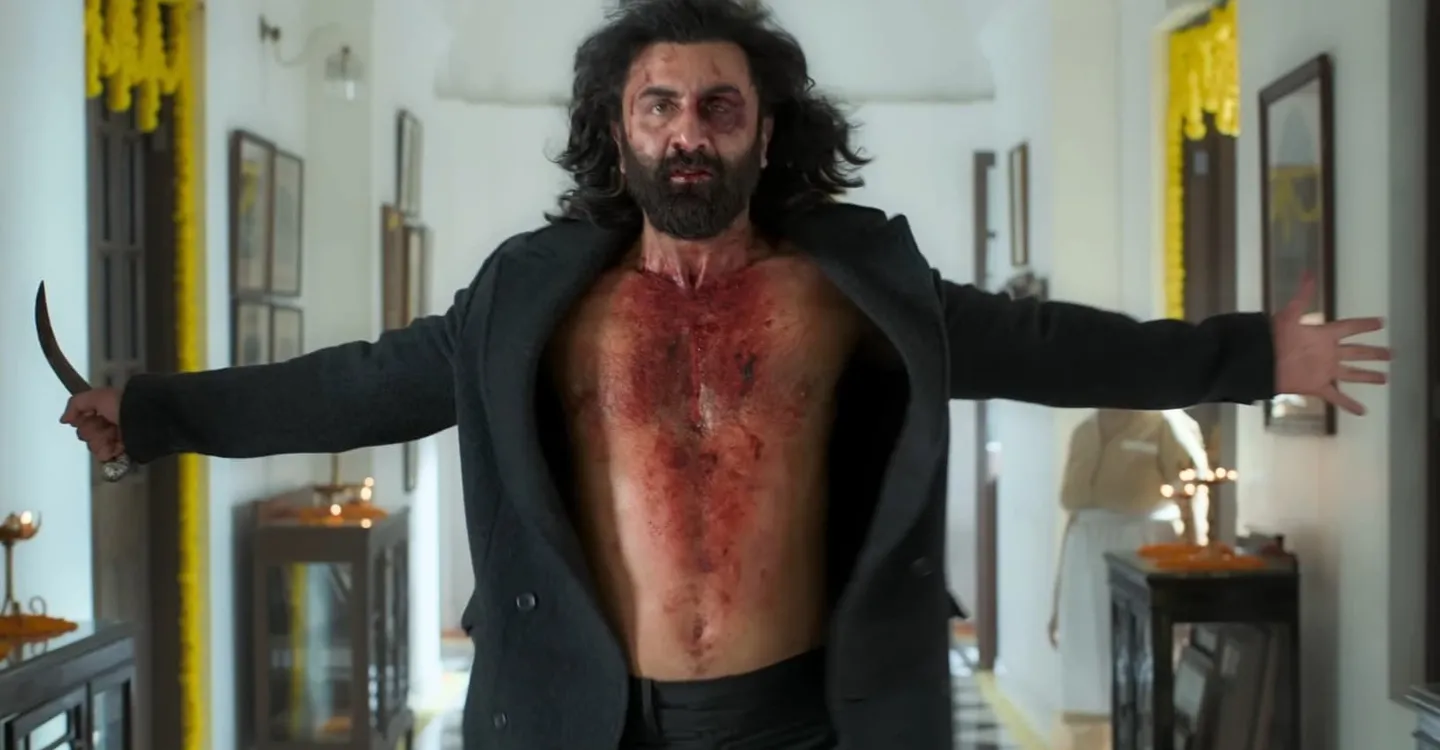10 Movies to Watch after Animal and Where to Stream Them