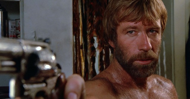 Lone Wolf McQuade