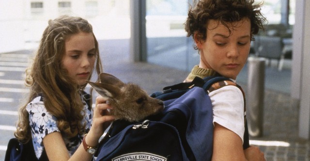 Joey, un canguro en la ciudad