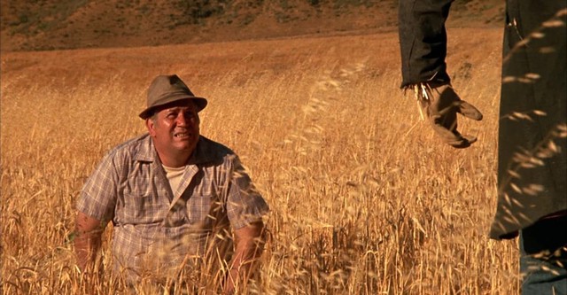 Η Νύχτα με τα Σκιάχτρα