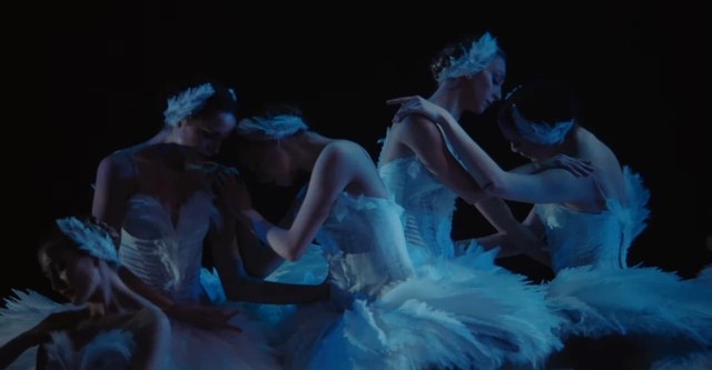 Swan Song: Ein neuer Schwanensee