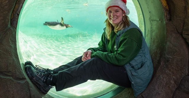 London Zoo at Christmas