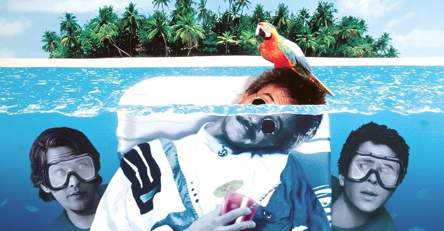 Wieder Ärger mit Bernie