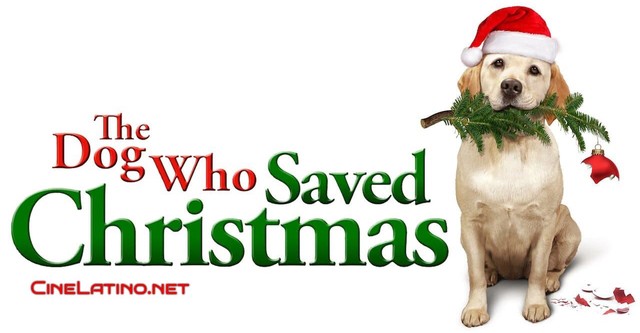 The Dog Who Saved the Holidays