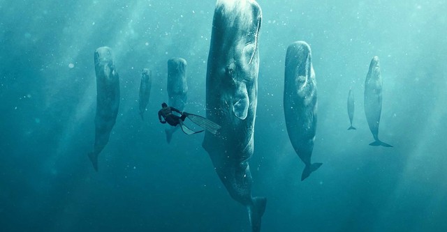 Whale with Steve Backshall