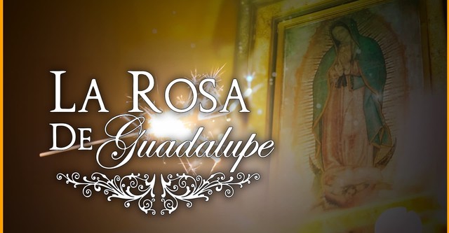 A Rosa dos Milagres