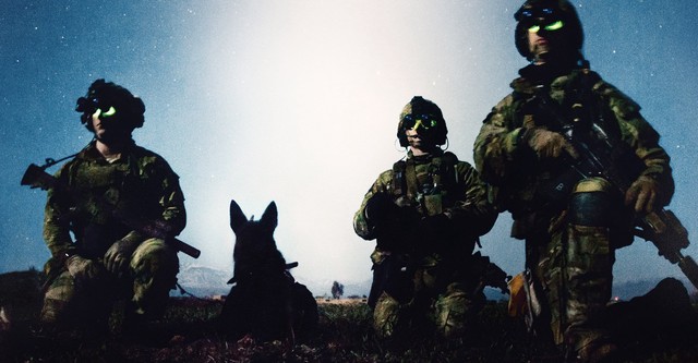 Cão de guerra: O melhor amigo do soldado