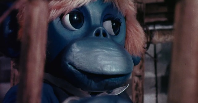 The Rare Blue Apes of Cannibal Isle