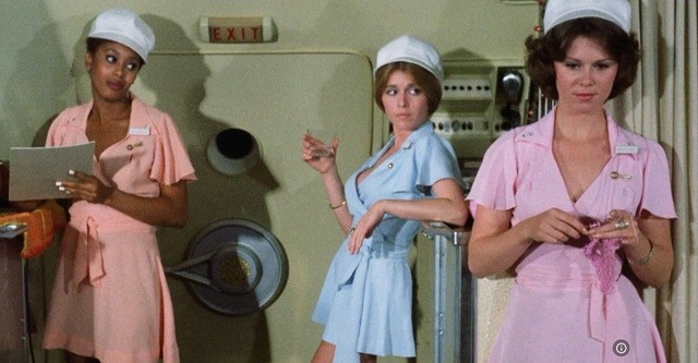 The Naughty Stewardesses