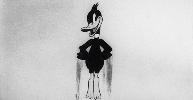 Daffy's Southern Exposure