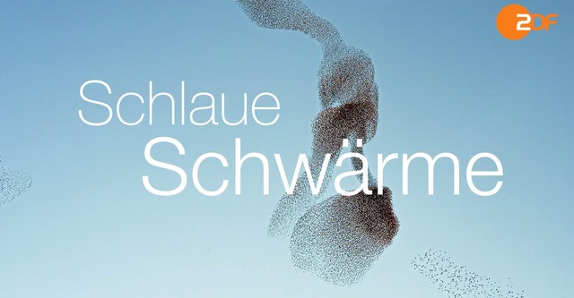 Schlaue Schwärme