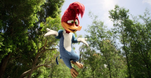 Woody Woodpecker geht ins Camp