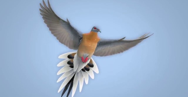 From Billions to None: The Passenger Pigeon's Flight to Extinction