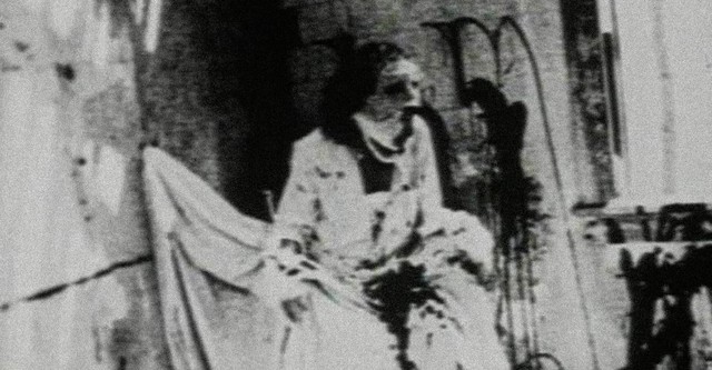 Begotten