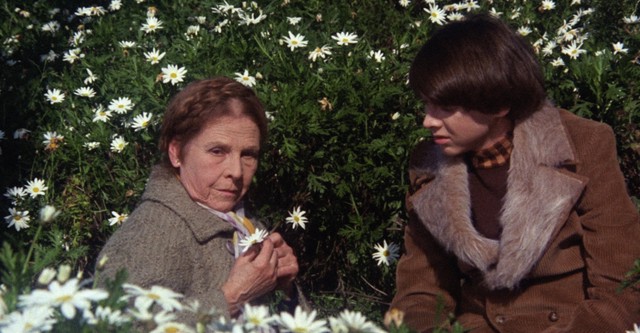 Harold and Maude