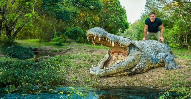 Killer Crocs with Steve Backshall