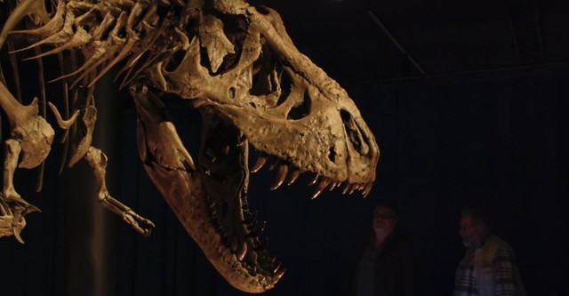 Bones : Dinosaures, la soif de l'os