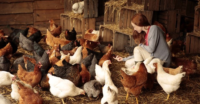 Au fil des saisons