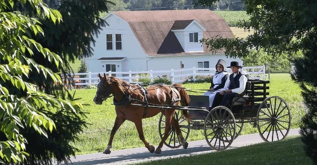 The Amish Dilemma