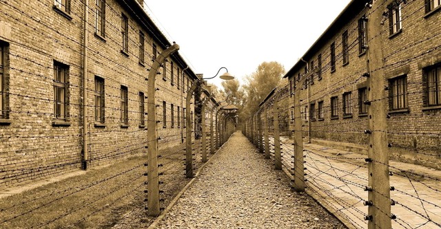 Inferno: Letters from Auschwitz