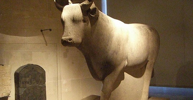 Egypt: The Treasure Of The Sacred Bulls